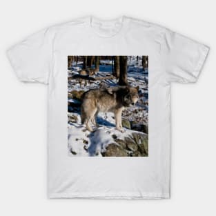 Gray Wolves T-Shirt